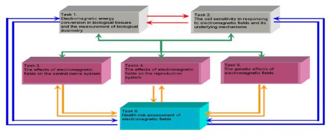 china EMF study schme